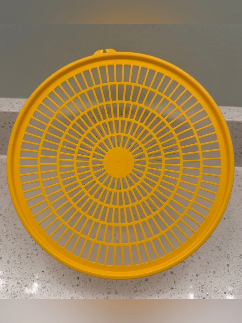 Tupperware Colander Strainer